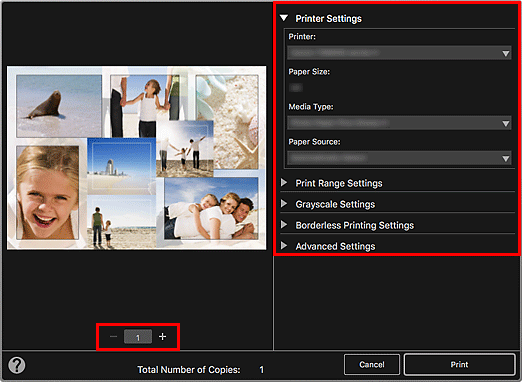 figure: Print Settings dialog