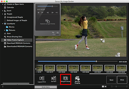 figure: Video Frame Capture view