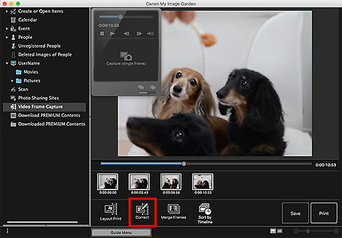 figure: Video Frame Capture view