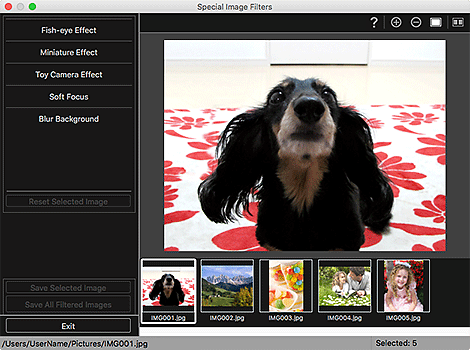 figure: Special Image Filters window