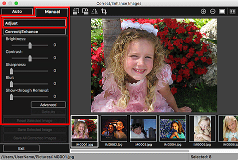 figure: Correct/Enhance Images window Manual tab