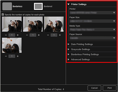 figure: Print settings dialog box