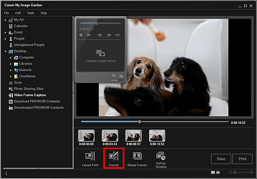 figure: Video Frame Capture view