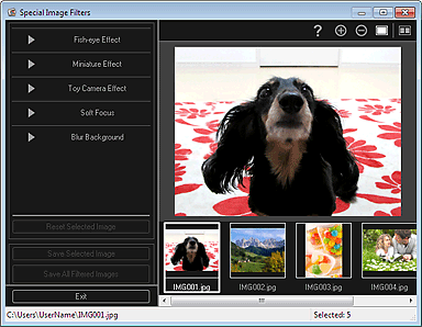 figure: Special Image Filters window