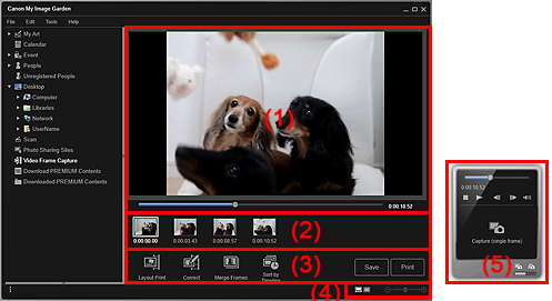 figure: Video Frame Capture view