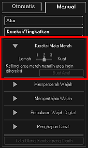 gambar: Jendela Koreksi/Tingkatkan Gambar tab Manual