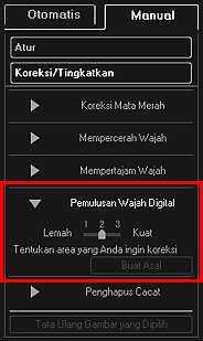 gambar: Jendela Koreksi/Tingkatkan Gambar tab Manual