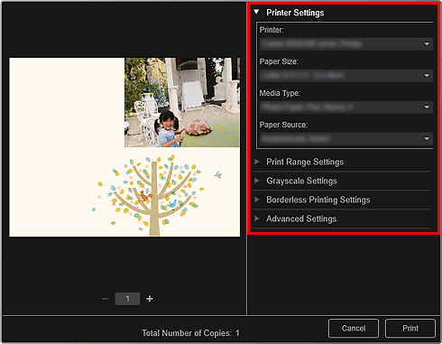 pav.: spausdinimo parametrų dialogo langas