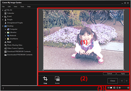 pav.: apkarpymo rodinys