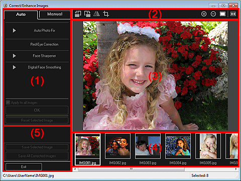figura: Fila Automat din fereastra Corectare/Îmbunătăţire imagini