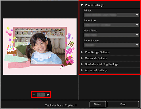 figure: Print settings dialog box