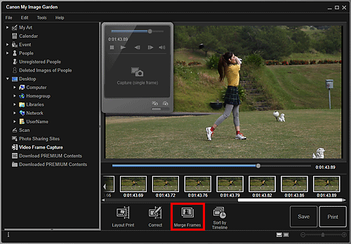 figure: Video Frame Capture view