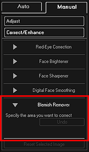 figure: Correct/Enhance Images window Manual tab