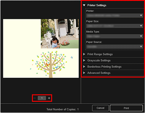 figure: Print settings dialog box