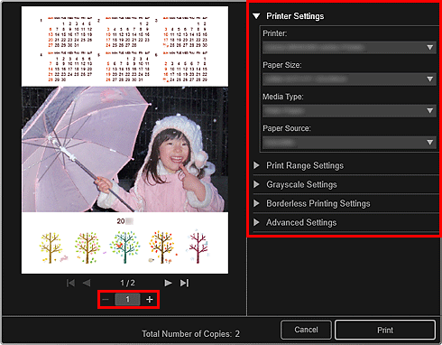 figure: Print settings dialog box