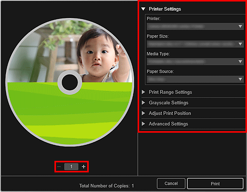 figure: Print settings dialog box