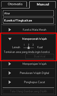 gambar: Jendela Koreksi/Tingkatkan Gambar tab Manual