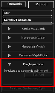 gambar: Jendela Koreksi/Tingkatkan Gambar tab Manual