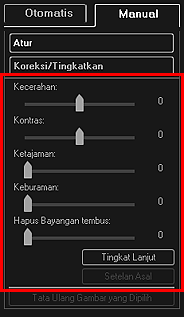 gambar: Jendela Koreksi/Tingkatkan Gambar tab Manual