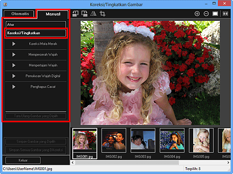 gambar: Jendela Koreksi/Tingkatkan Gambar tab Manual