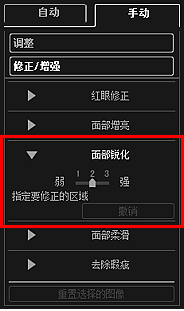 插图：“修正/增强图像”窗口的“手动”选项卡