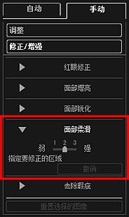 插图：“修正/增强图像”窗口的“手动”选项卡