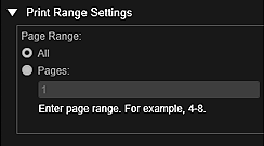 figure: Print settings dialog box