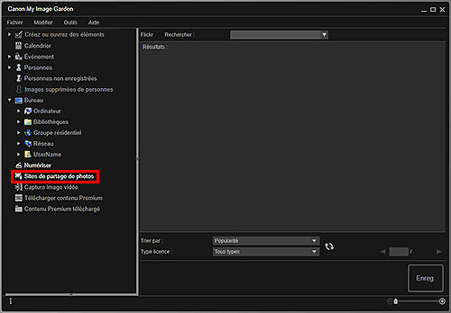 figure : Vue Sites de partage de photos