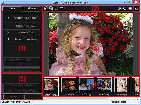 figure : onglet Auto fenêtre Corriger/Améliorer les images