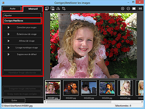 figure : onglet Manuel fenêtre Corriger/Améliorer les images