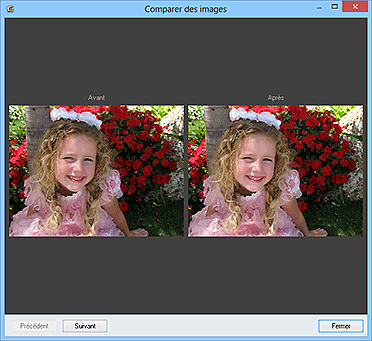 figure : Fenêtre Comparer des images