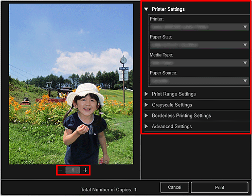 figure: Print settings dialog box