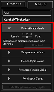 gambar: Jendela Koreksi/Tingkatkan Gambar tab Manual