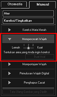 gambar: Jendela Koreksi/Tingkatkan Gambar tab Manual