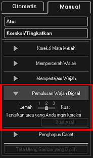 gambar: Jendela Koreksi/Tingkatkan Gambar tab Manual