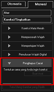 gambar: Jendela Koreksi/Tingkatkan Gambar tab Manual