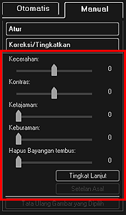 gambar: Jendela Koreksi/Tingkatkan Gambar tab Manual