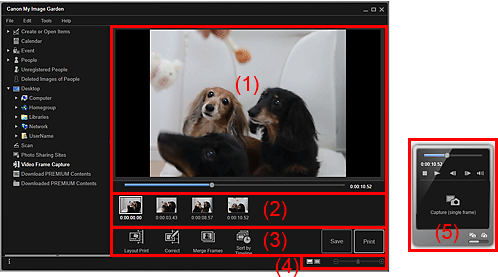 figura: Vista Acquisizione frame video