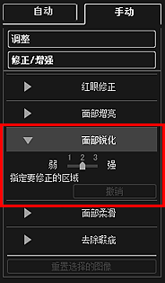 插图：“修正/增强图像”窗口的“手动”选项卡