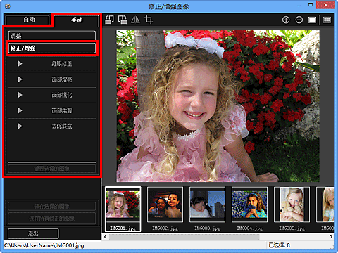 插图：“修正/增强图像”窗口的“手动”选项卡