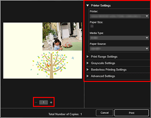 figure: Print settings dialog box