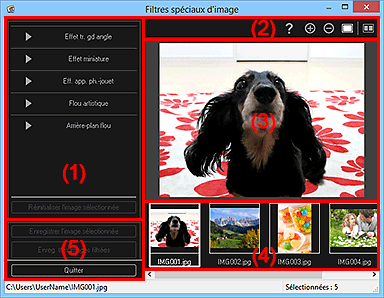 figure : fenêtre Filtres spéciaux d'image