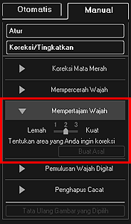 gambar: Jendela Koreksi/Tingkatkan Gambar tab Manual