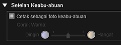 gambar: Kotak dialog Setelan Cetak