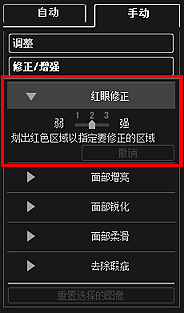 插图：“修正/增强图像”窗口的“手动”选项卡