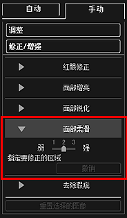 插图：“修正/增强图像”窗口的“手动”选项卡