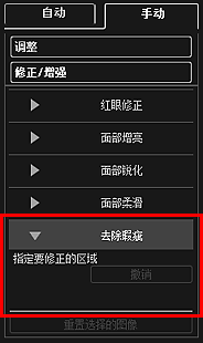 插图：“修正/增强图像”窗口的“手动”选项卡