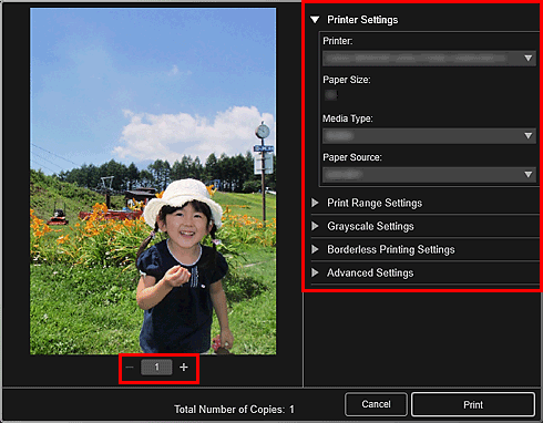 εικόνα:Παράθυρο διαλόγου ρυθμίσεων εκτύπωσης