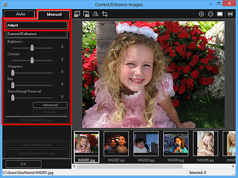 εικόνα: καρτέλα Μη αυτόματα στο παράθυρο Διόρθωση/βελτίωση εικόνας