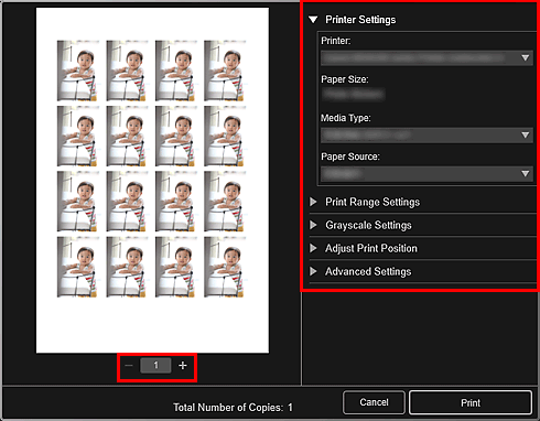 figure: Print settings dialog box